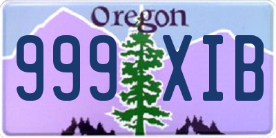 OR license plate 999XIB