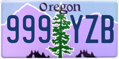 OR license plate 999YZB