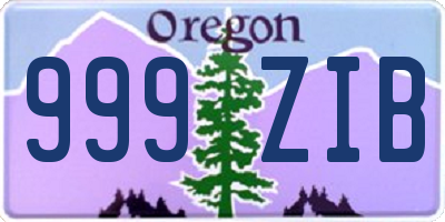 OR license plate 999ZIB