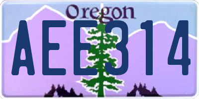 OR license plate AEE314