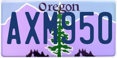 OR license plate AXM950