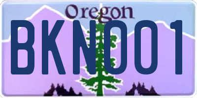 OR license plate BKN001