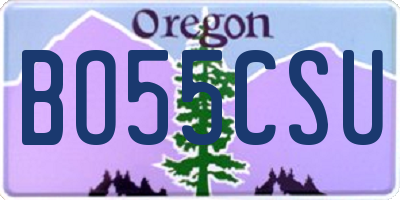 OR license plate BO55CSU