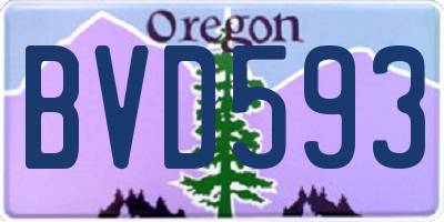 OR license plate BVD593