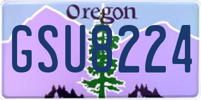 OR license plate GSU8224