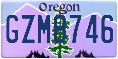 OR license plate GZM8746