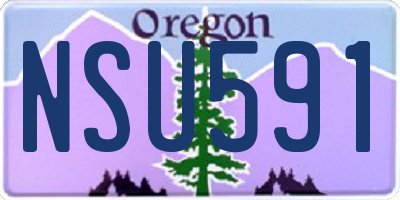 OR license plate NSU591