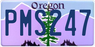 OR license plate PMS247