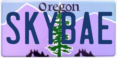 OR license plate SKYBAE