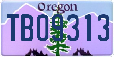 OR license plate TB09313