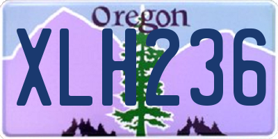 OR license plate XLH236