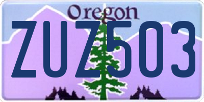 OR license plate ZUZ503