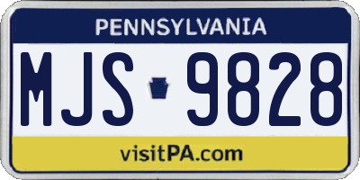 PA license plate MJS9828