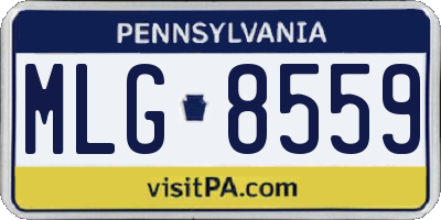PA license plate MLG8559