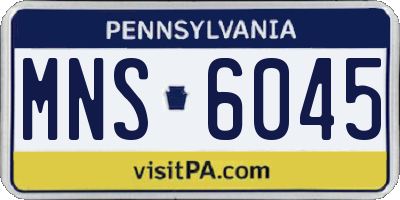 PA license plate MNS6045