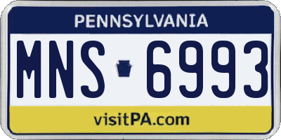 PA license plate MNS6993