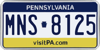 PA license plate MNS8125