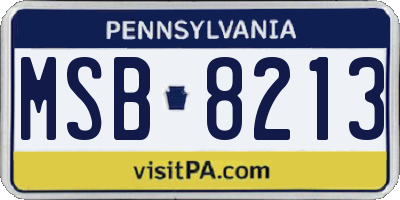 PA license plate MSB8213
