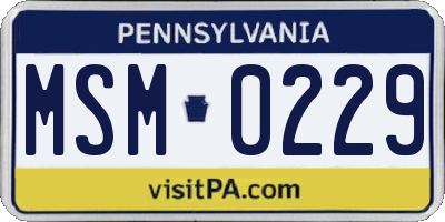 PA license plate MSM0229