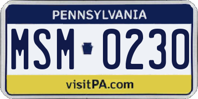 PA license plate MSM0230
