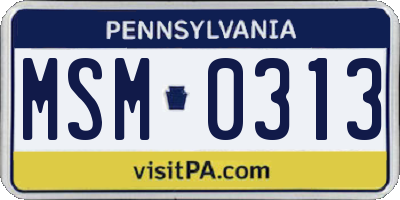 PA license plate MSM0313