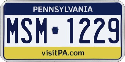 PA license plate MSM1229