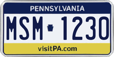 PA license plate MSM1230