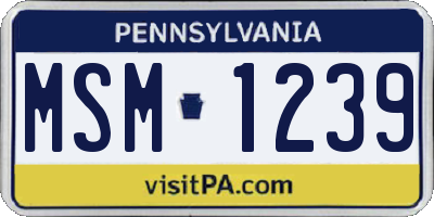 PA license plate MSM1239
