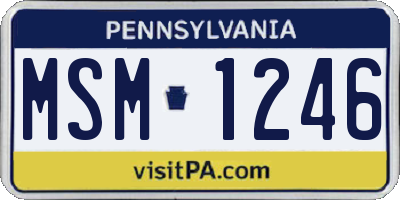 PA license plate MSM1246