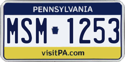 PA license plate MSM1253