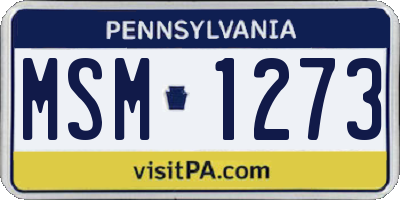 PA license plate MSM1273