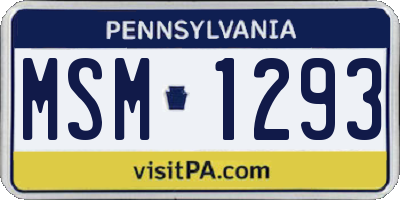 PA license plate MSM1293