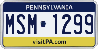 PA license plate MSM1299