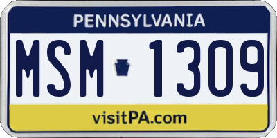 PA license plate MSM1309
