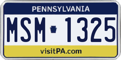 PA license plate MSM1325