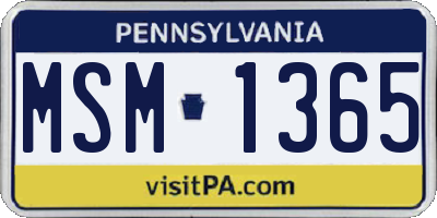 PA license plate MSM1365