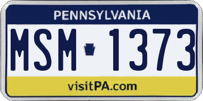 PA license plate MSM1373