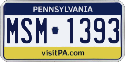PA license plate MSM1393