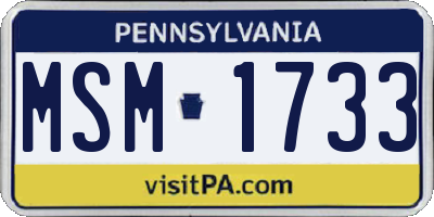 PA license plate MSM1733