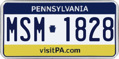 PA license plate MSM1828