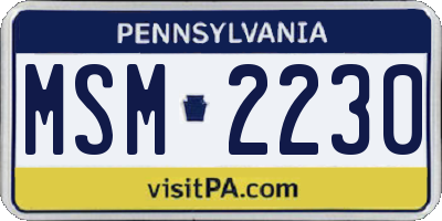 PA license plate MSM2230