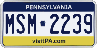 PA license plate MSM2239