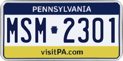 PA license plate MSM2301