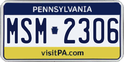 PA license plate MSM2306