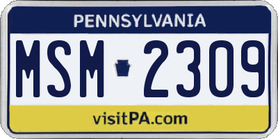 PA license plate MSM2309