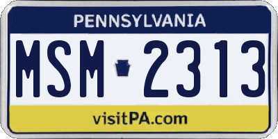 PA license plate MSM2313