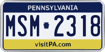 PA license plate MSM2318