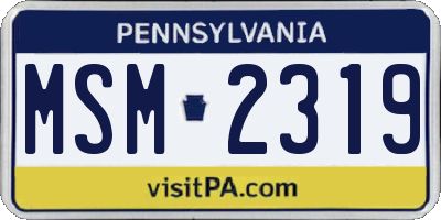 PA license plate MSM2319