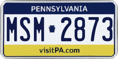 PA license plate MSM2873