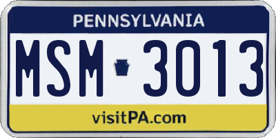 PA license plate MSM3013